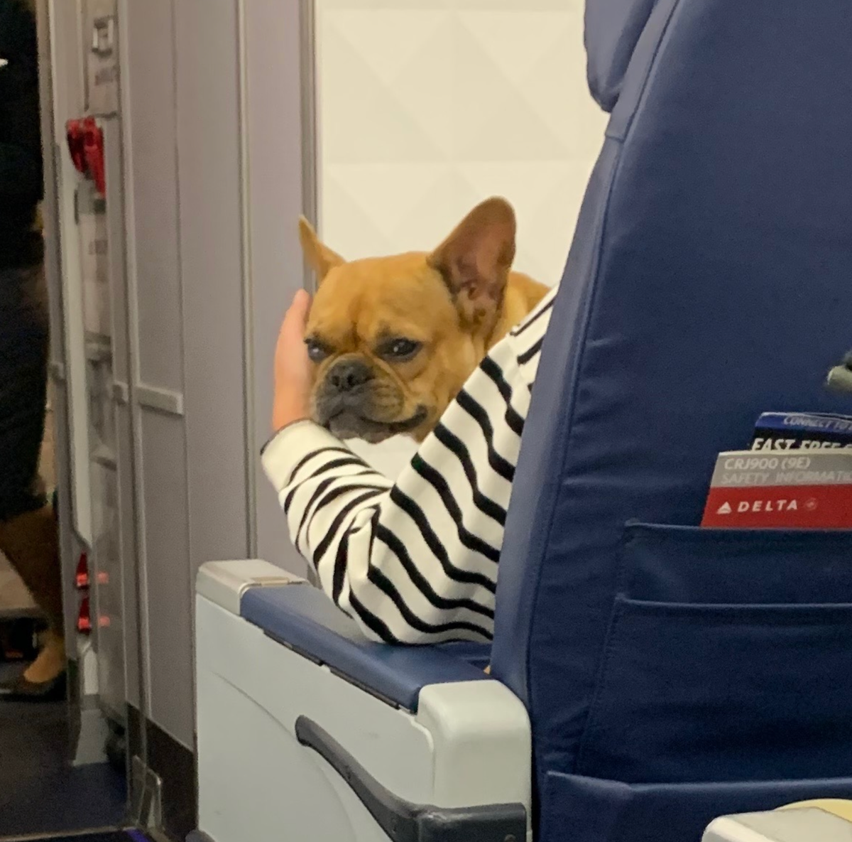 Output 28—Field Report: Camp John Waters