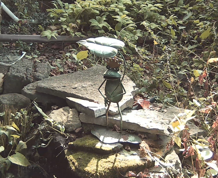 Output 34—Home Movies